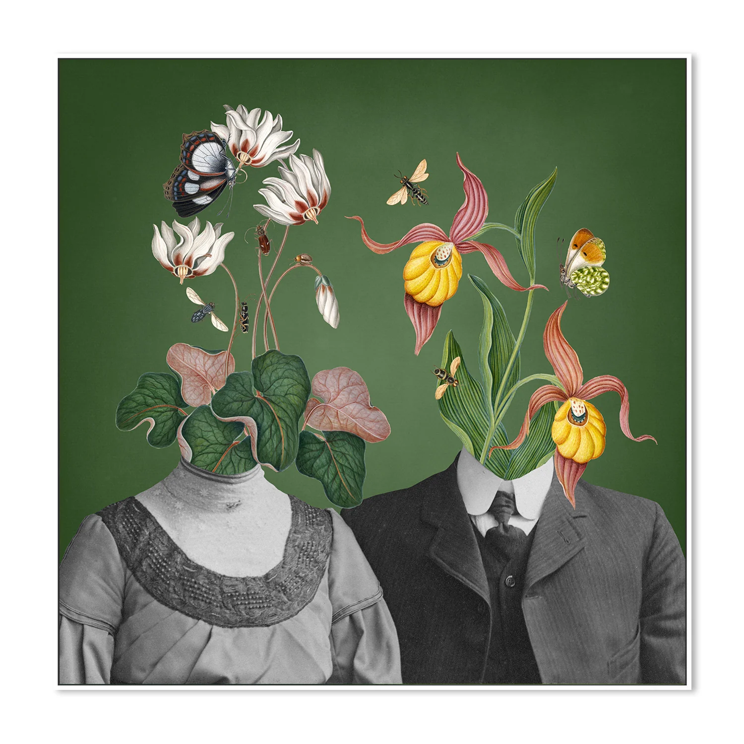 Family Portraits - Image 5