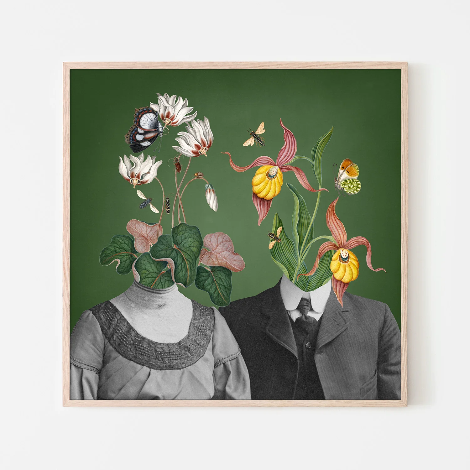 Family Portraits - Image 6