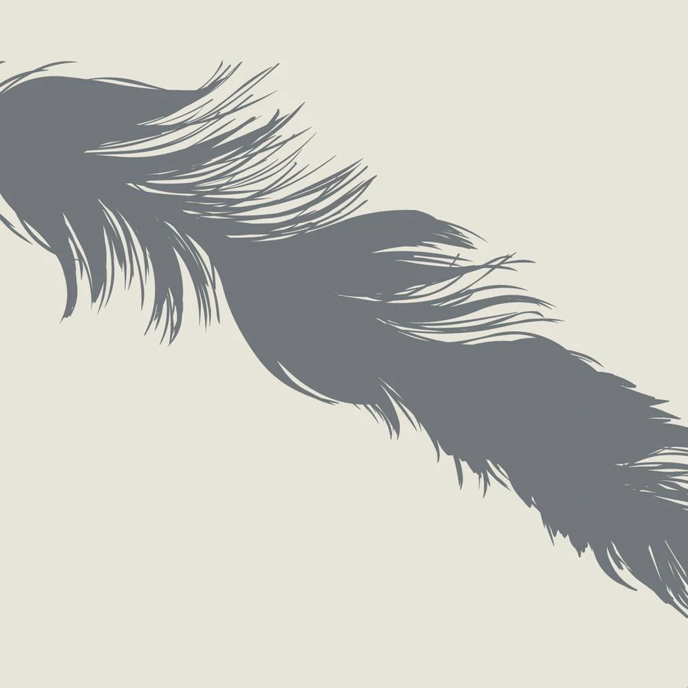 Feathers Wallpaper - Image 3