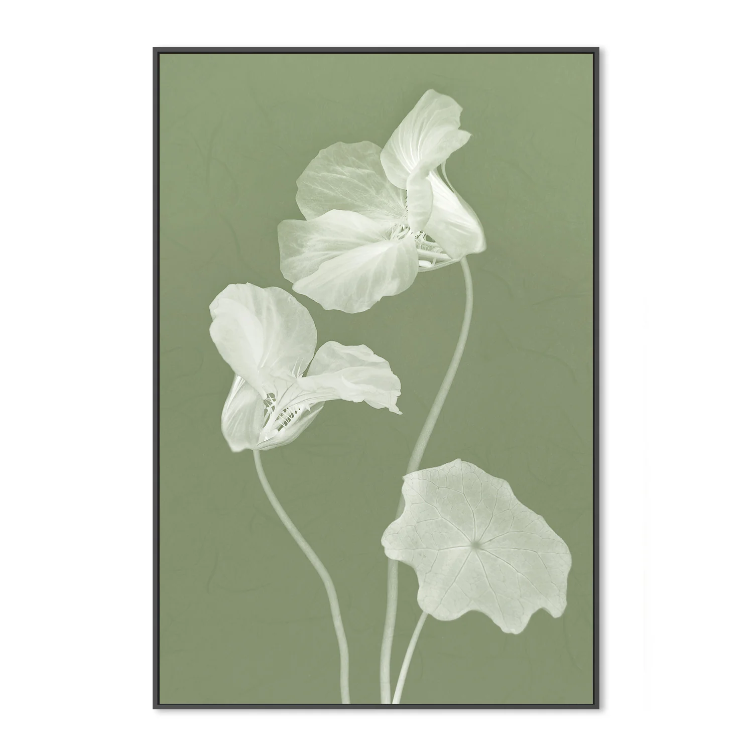 Floral Dancer, Style A - Image 3