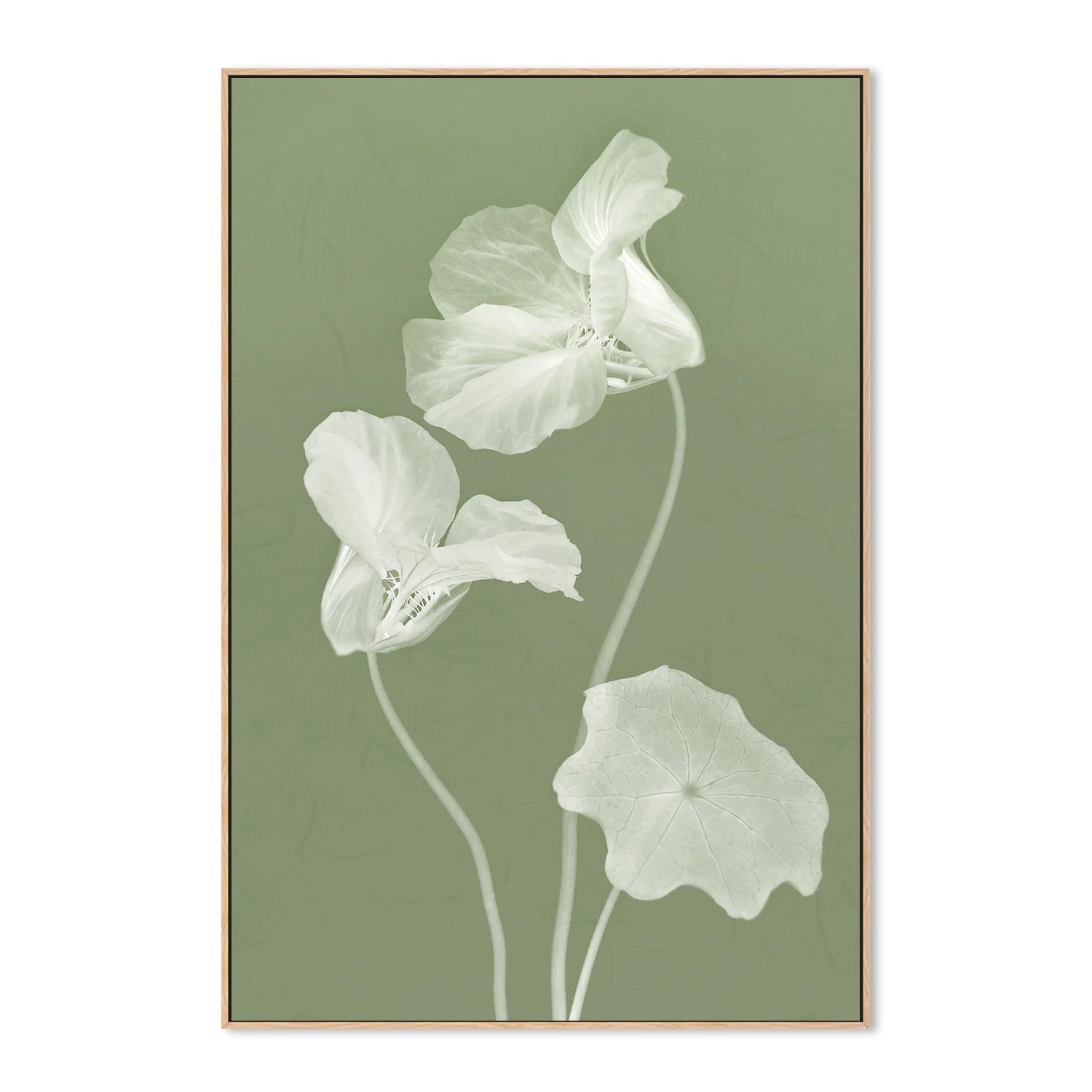 Floral Dancer, Style A - Image 4