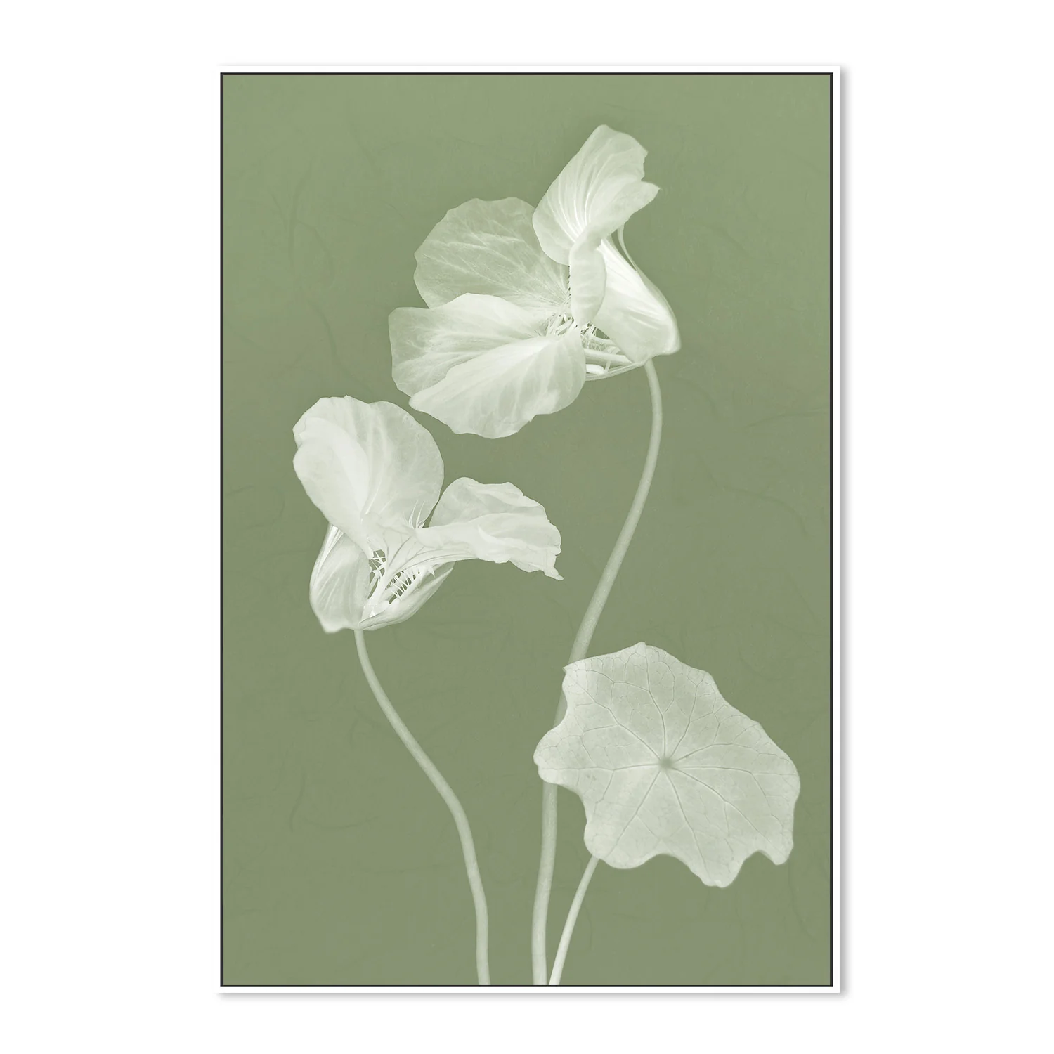 Floral Dancer, Style A - Image 5