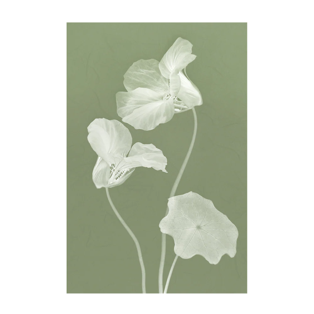 Floral Dancer, Style A & B, Set Of 2 - Image 8