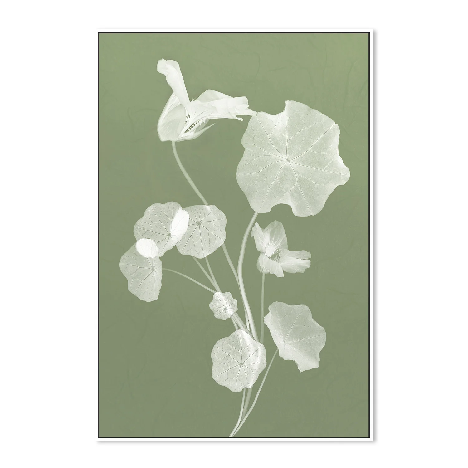 Floral Dancer, Style B - Image 5