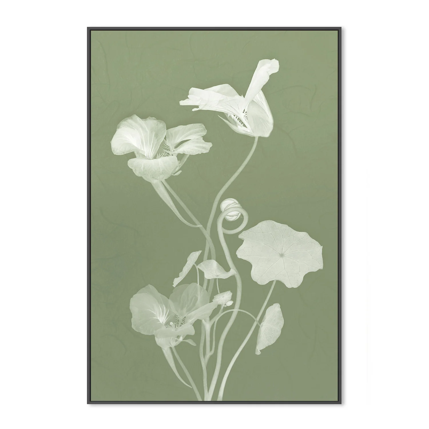 Floral Dancer, Style C - Image 3