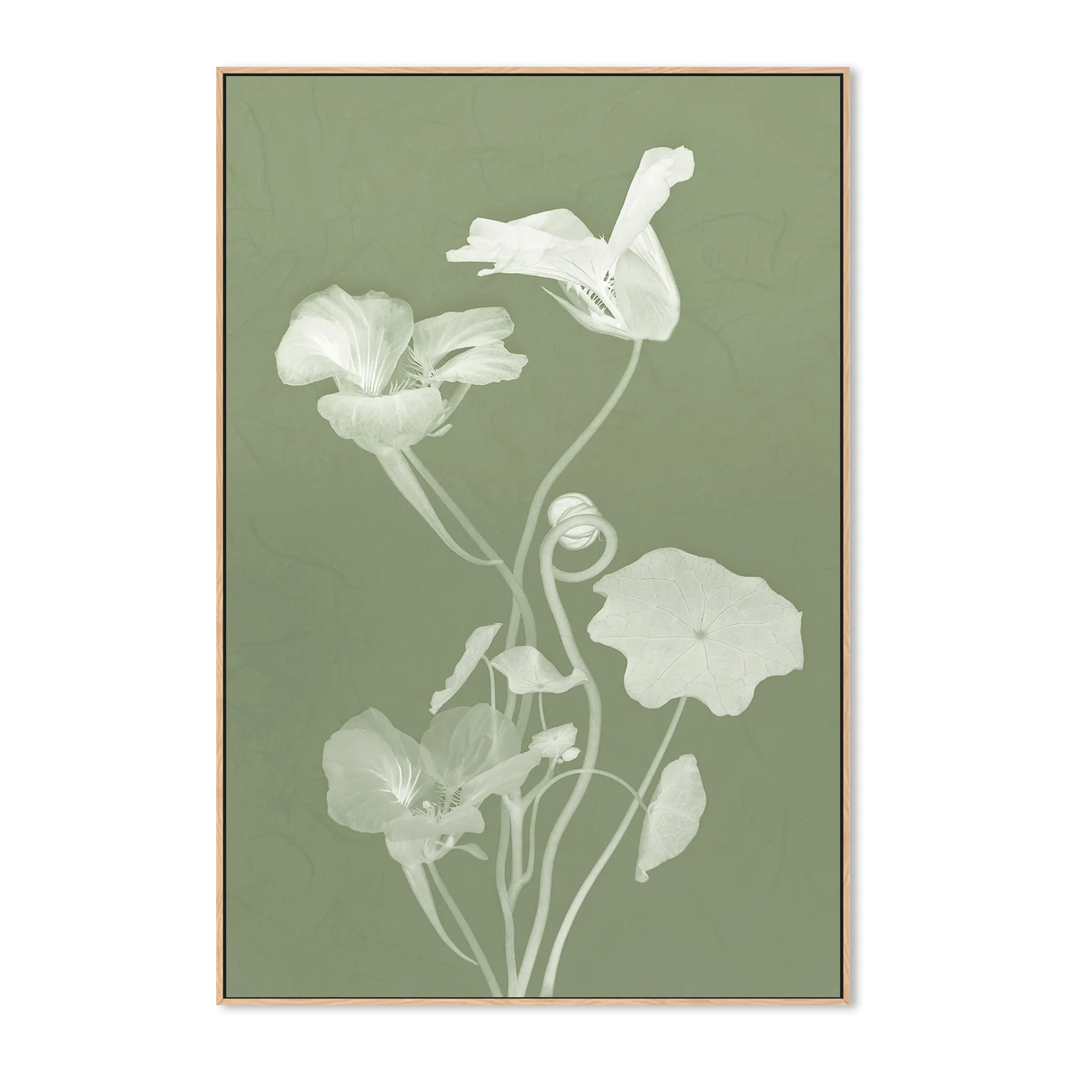 Floral Dancer, Style C - Image 4