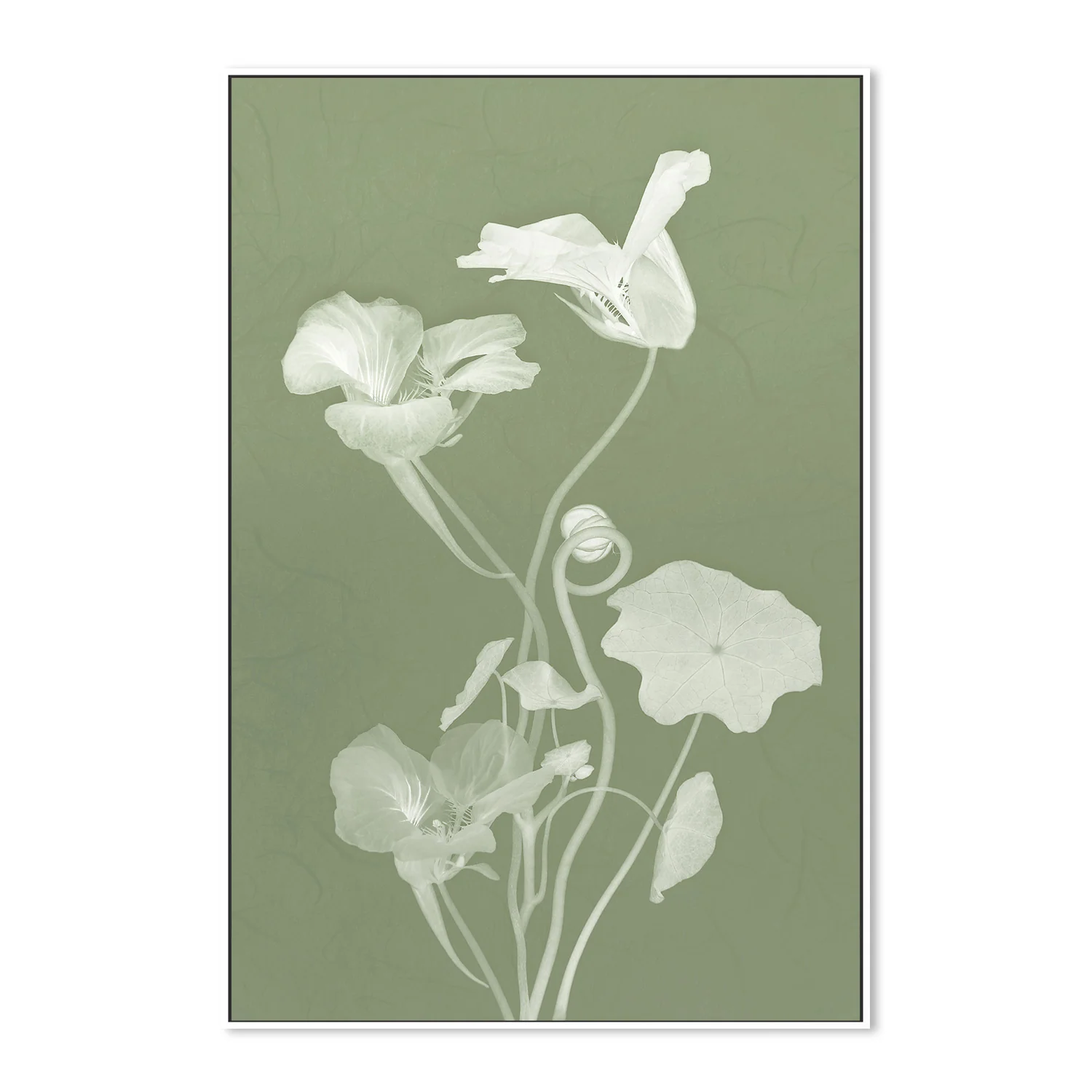Floral Dancer, Style C - Image 5