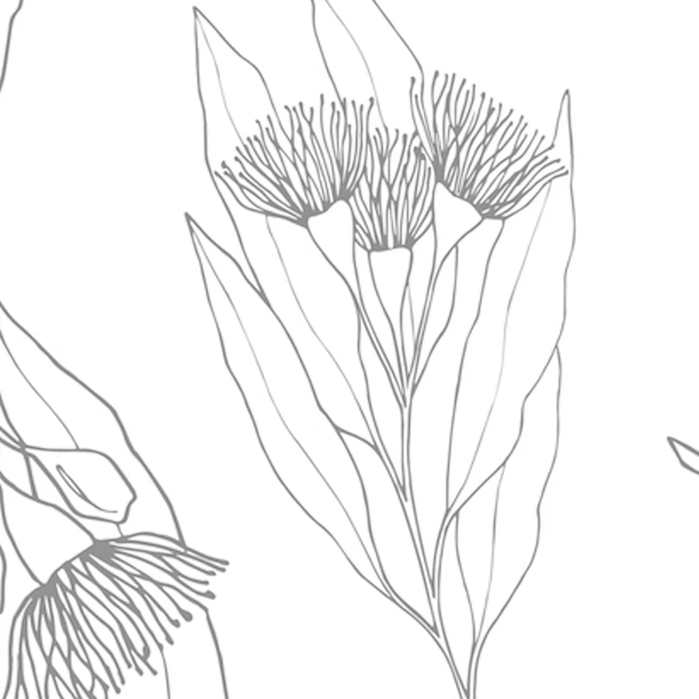 Flowering Gum, Black And White - Image 3