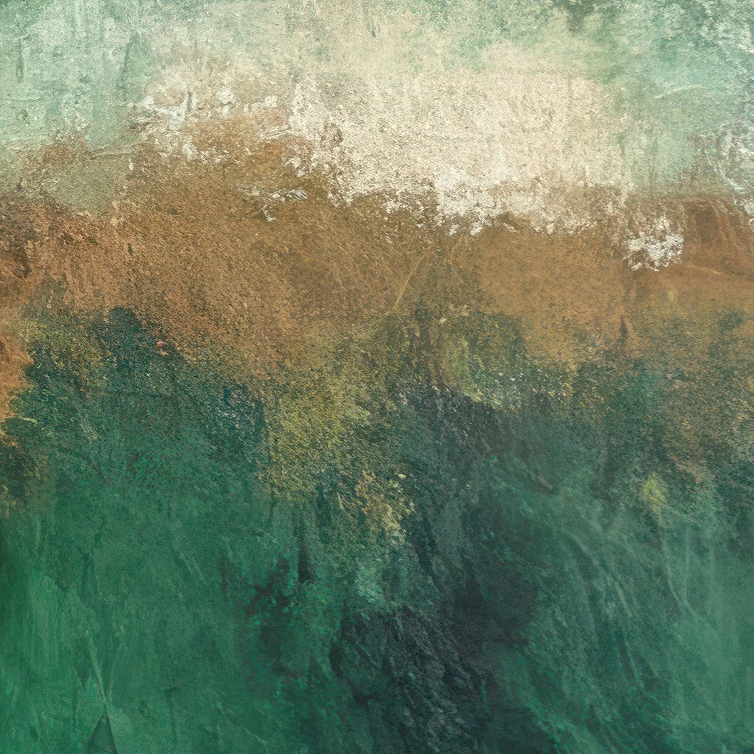 forest haze - Image 11