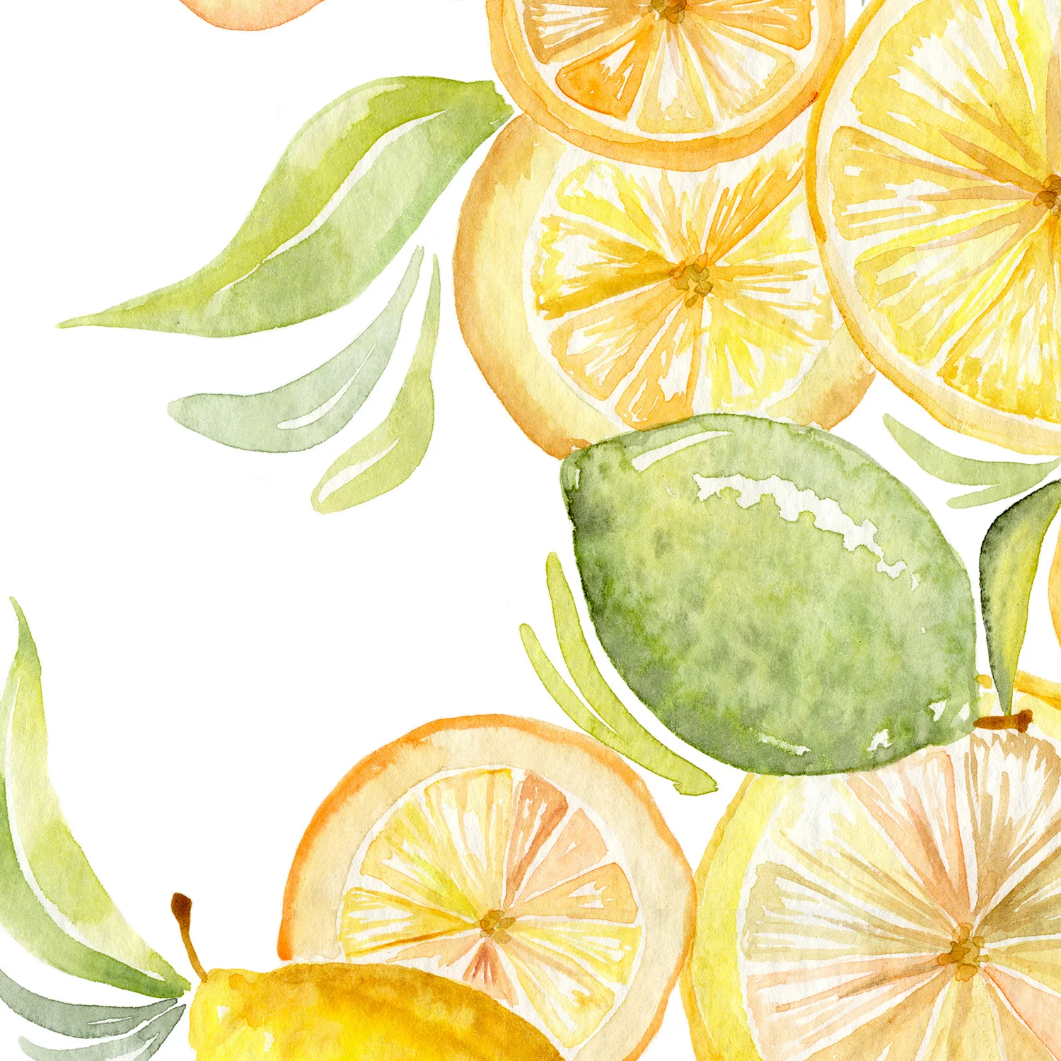 Fruit collection - lemon & Limes - Image 10