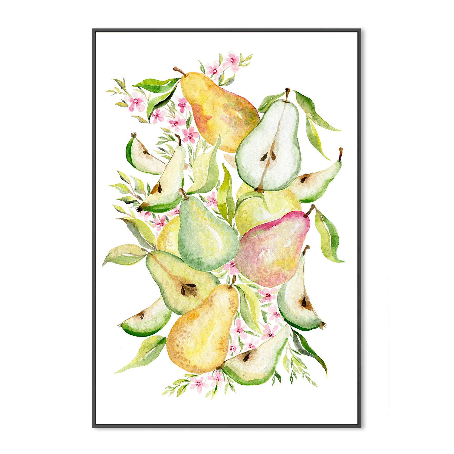 Fruit collection - Pears - Image 3