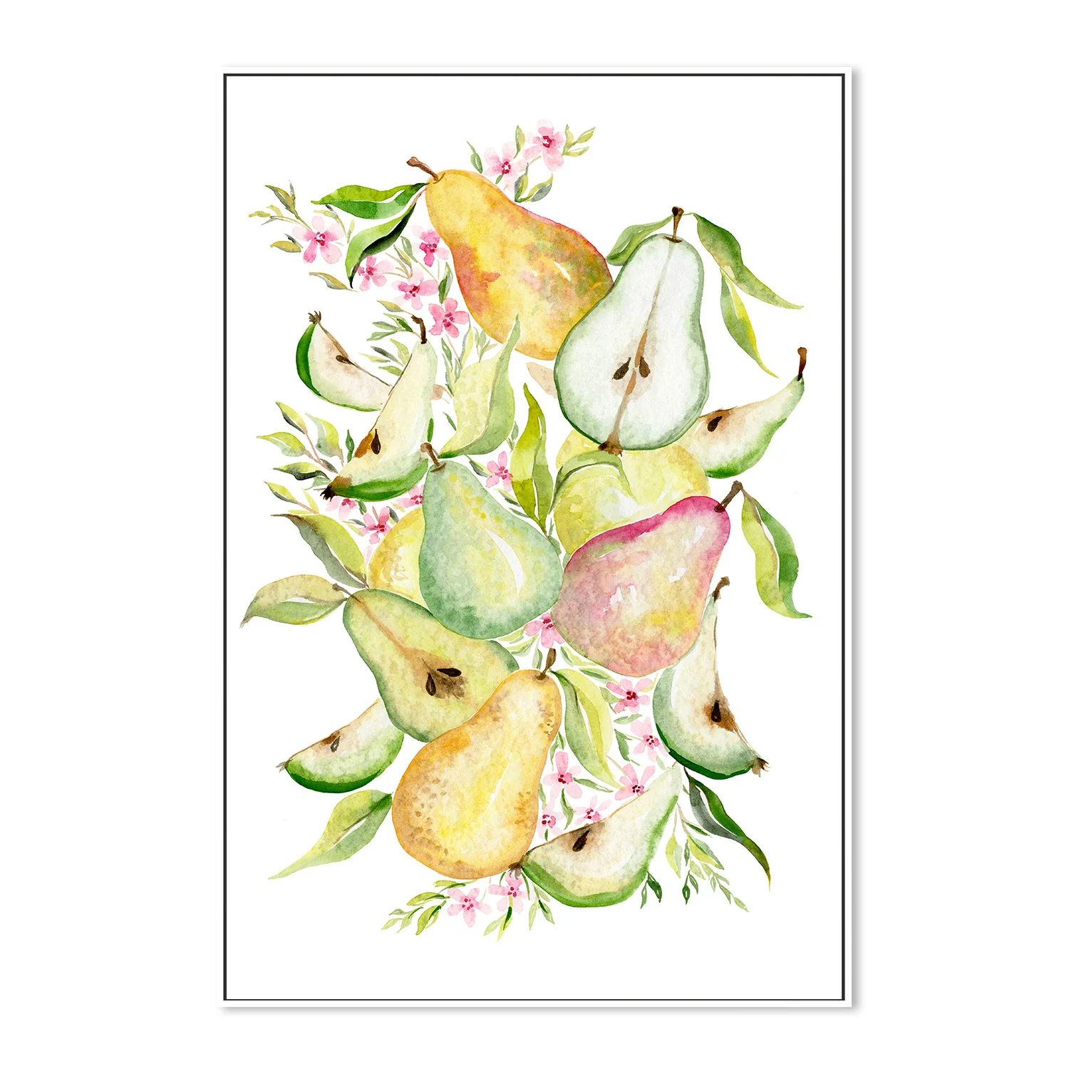 Fruit collection - Pears - Image 5