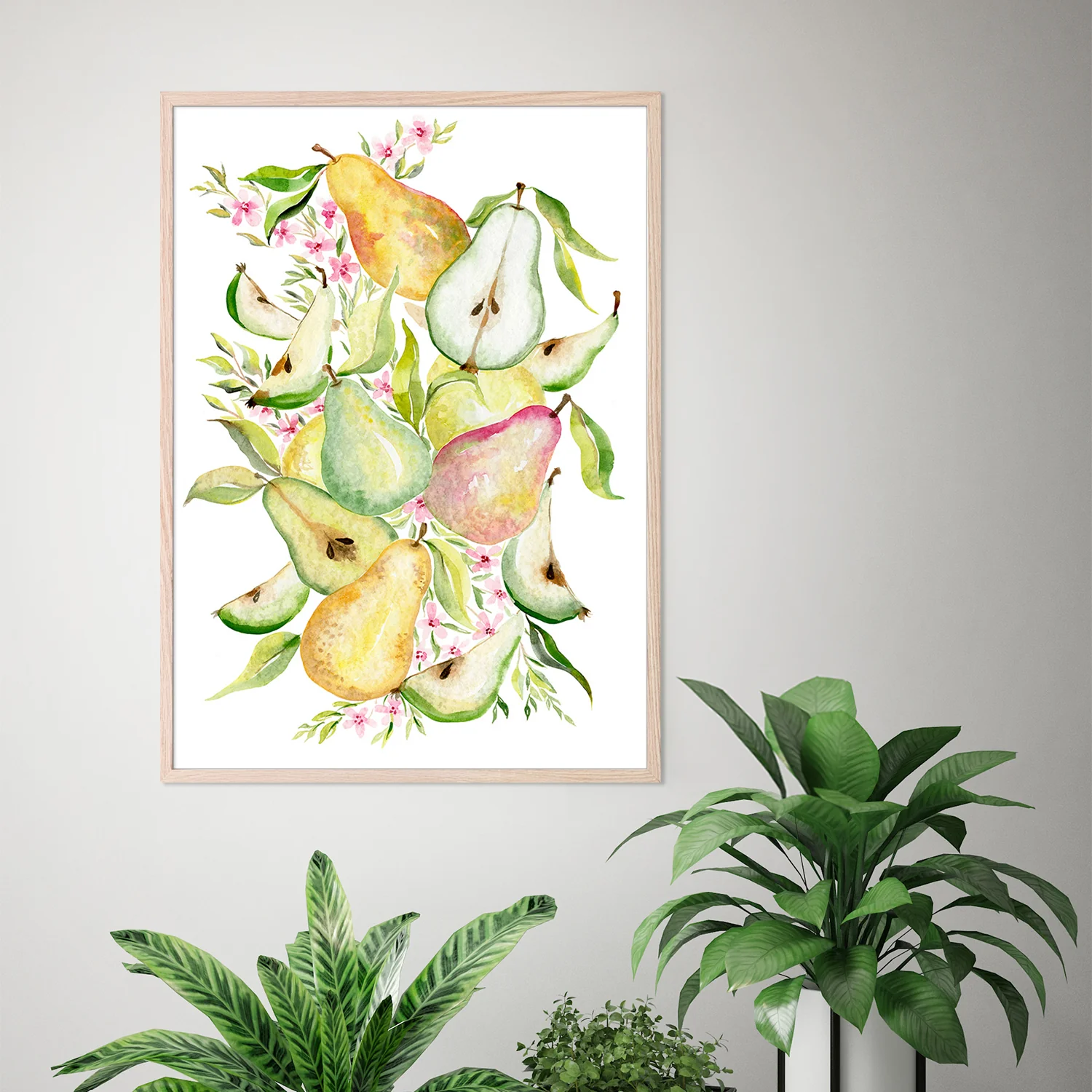 Fruit collection - Pears - Image 8