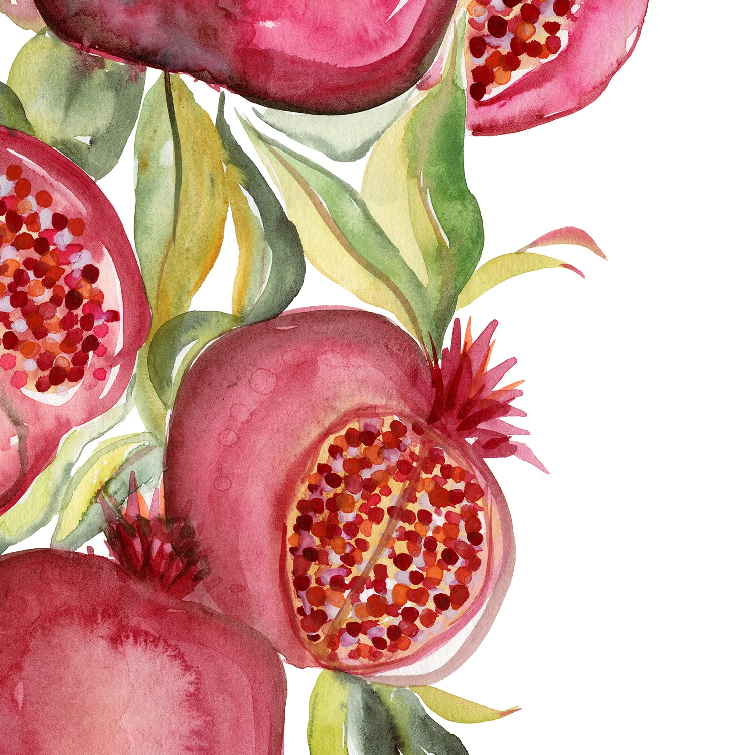 Fruit collection - Pomegranate - Image 10