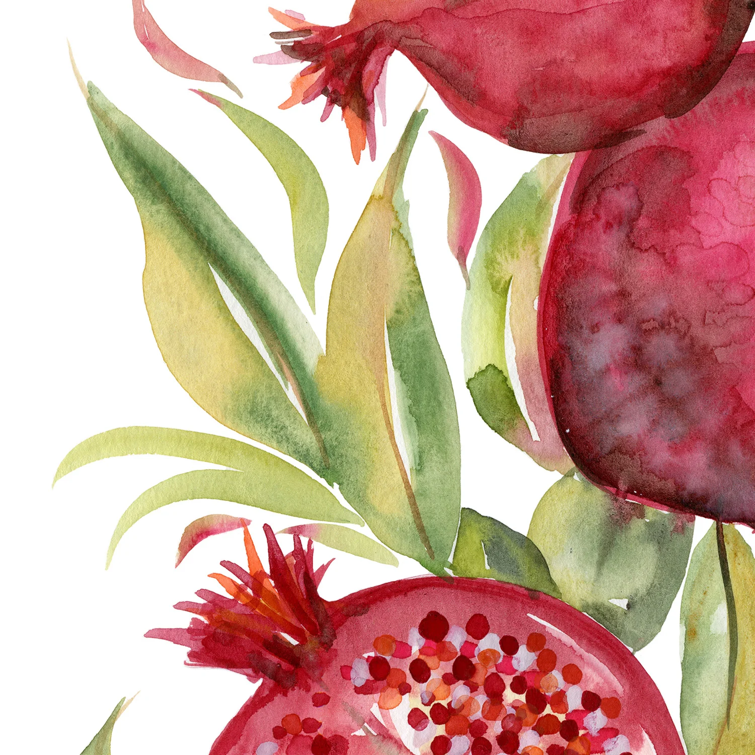 Fruit collection - Pomegranate - Image 11