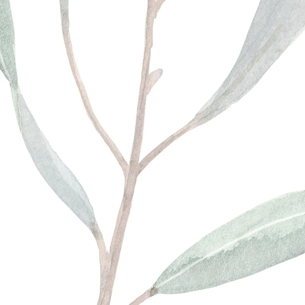 Green Eucalyptus Leaves - Image 3