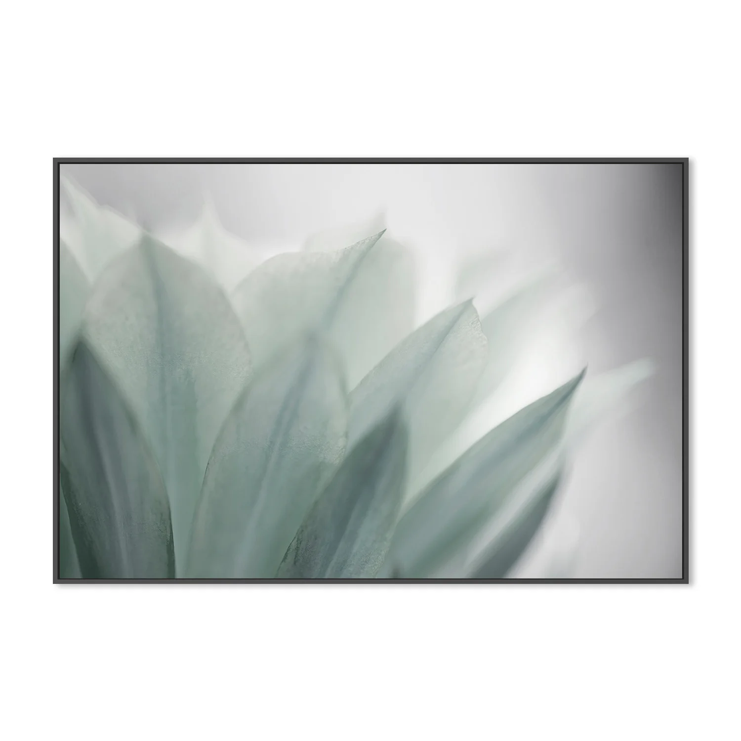 Green Leaves Blooming - Image 3