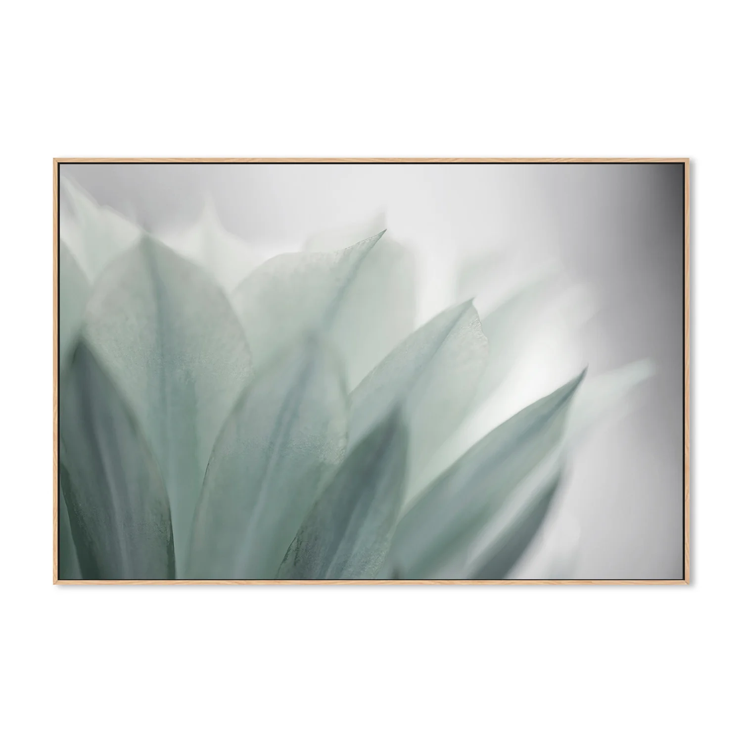 Green Leaves Blooming - Image 4
