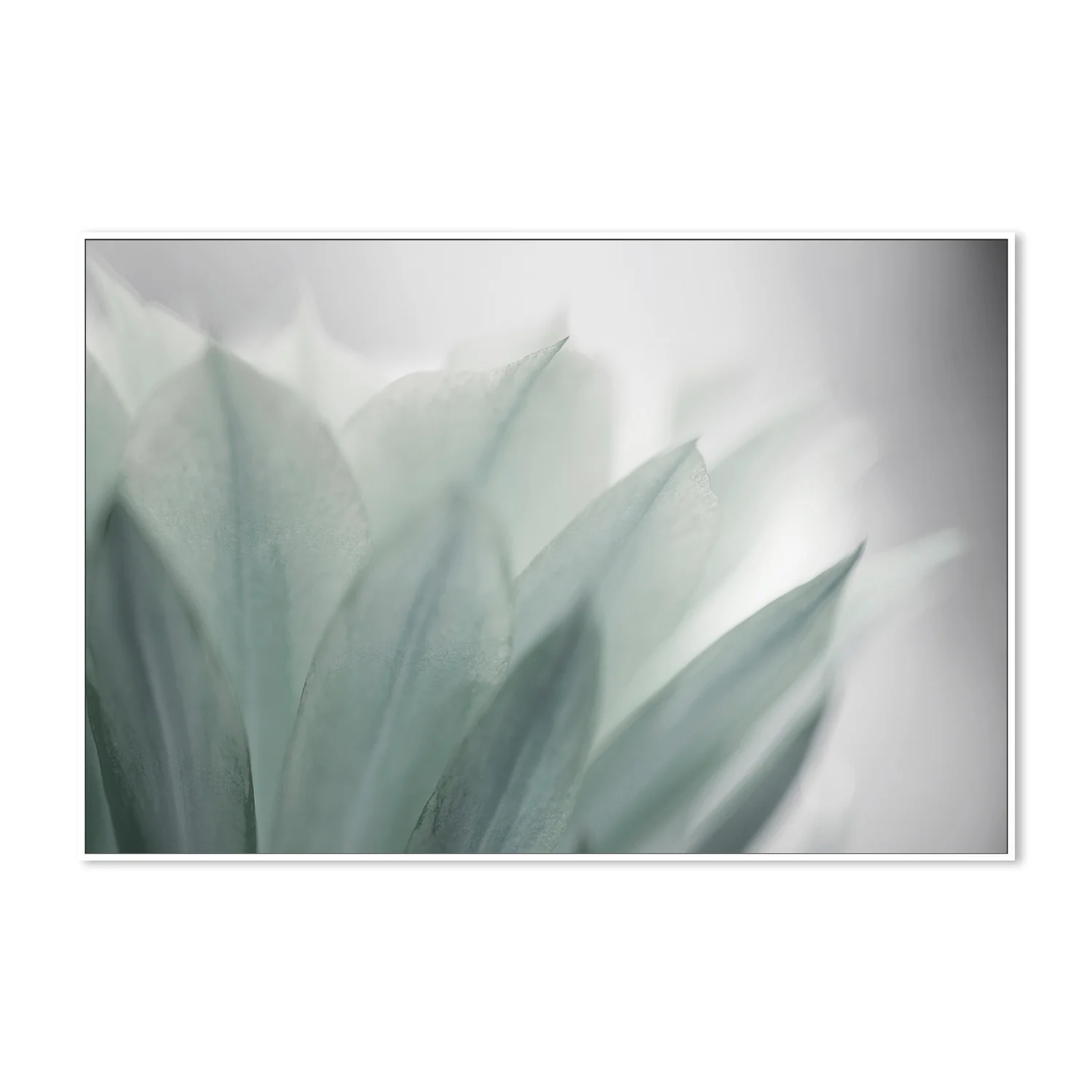 Green Leaves Blooming - Image 5