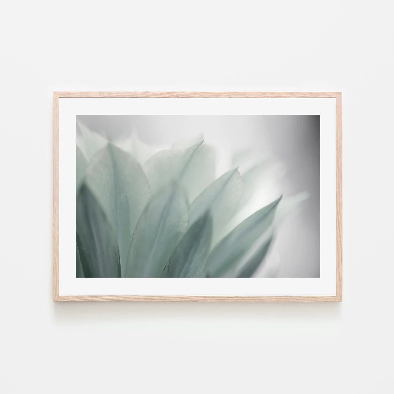 Green Leaves Blooming - Image 6