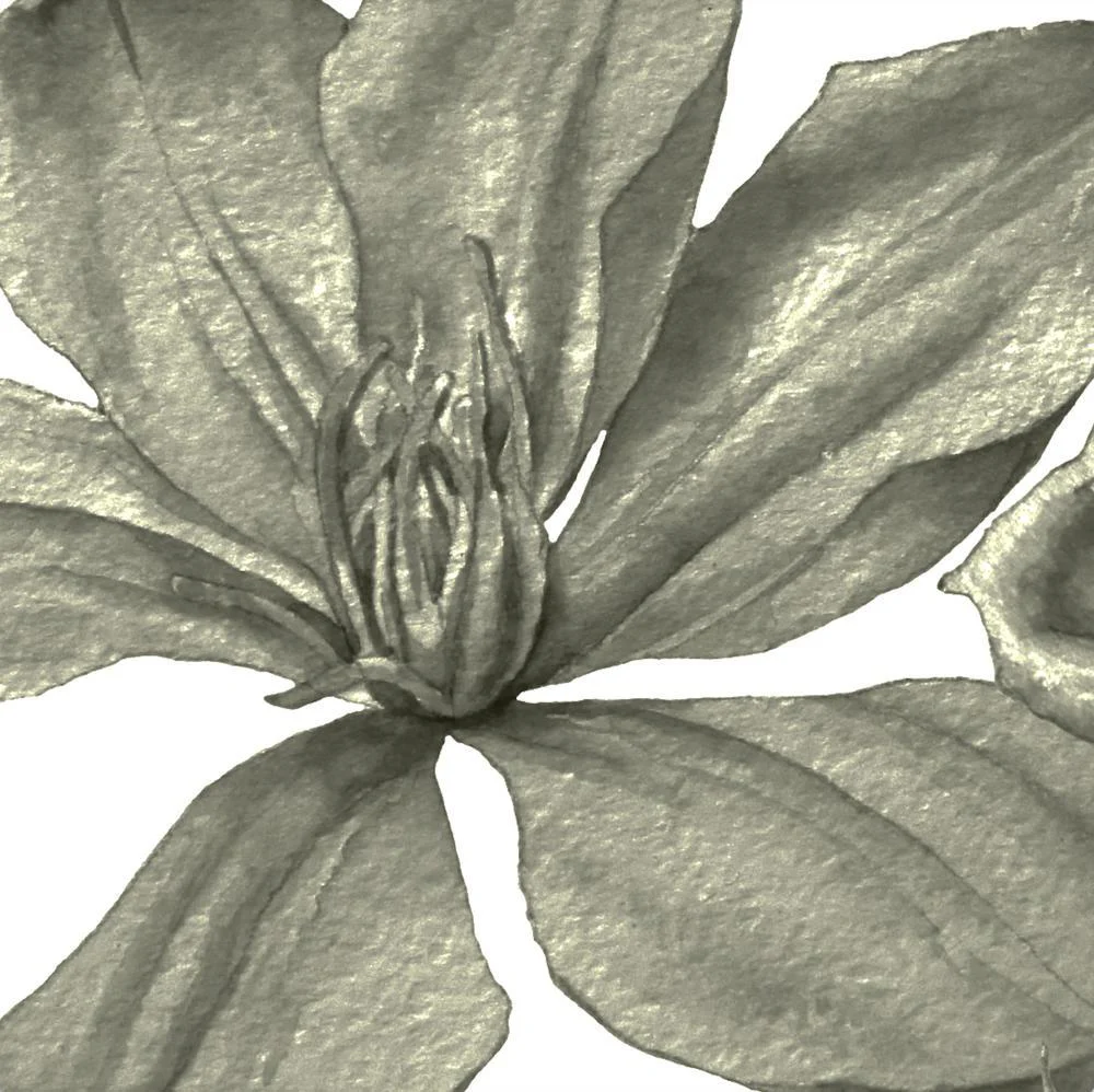 Green Roses  Wallpaper - Image 3