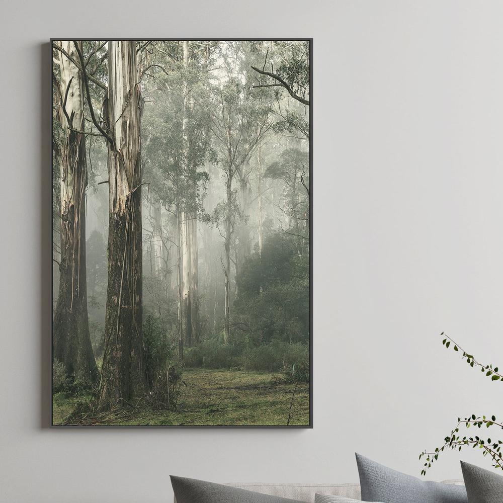 Gum Tree Forest on a Foggy Winter Day, Whist - Image 4