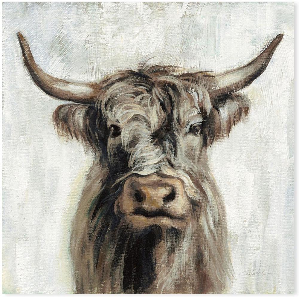 Highland Cow, Style B