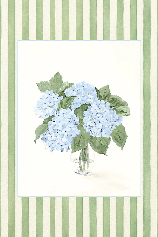 Hydrangea