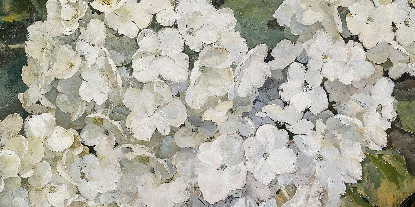 Hydrangeas