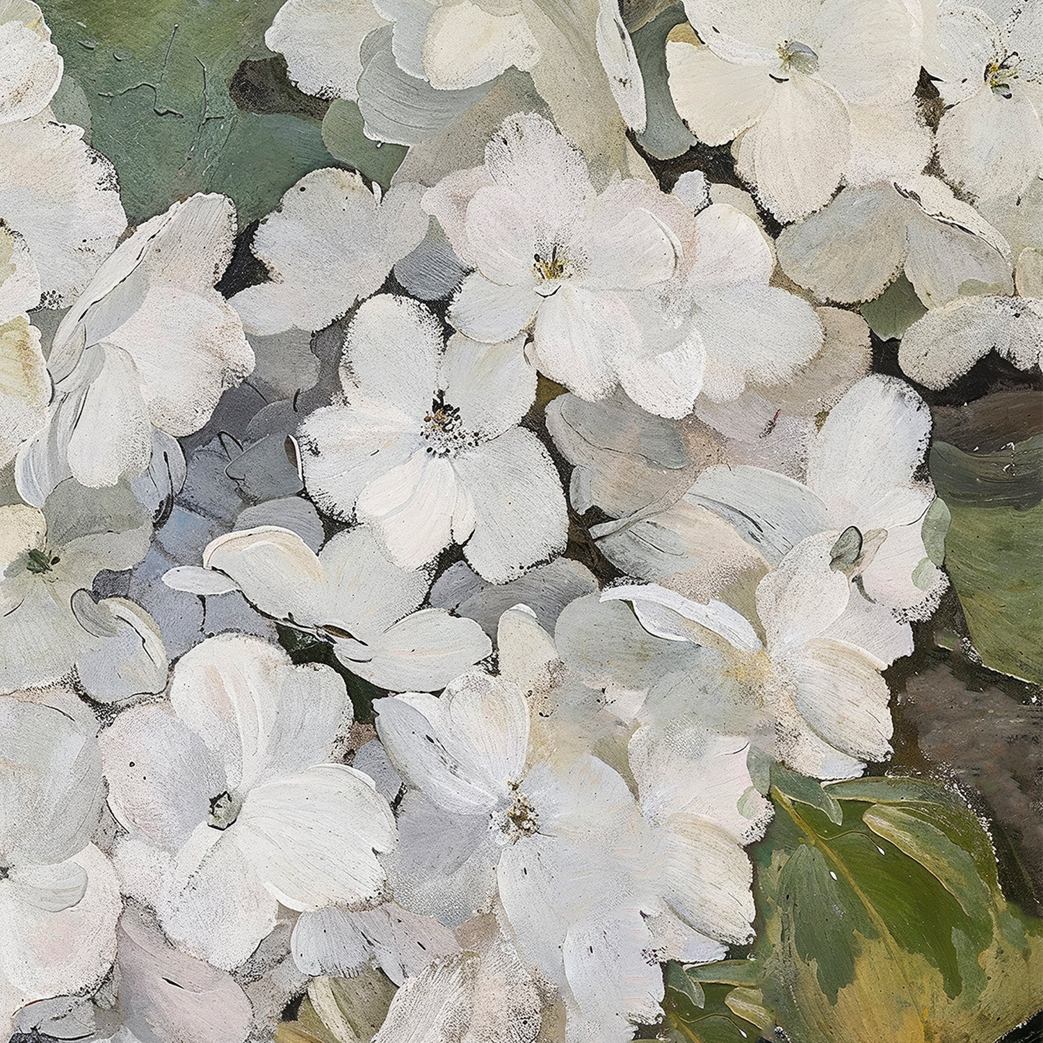 Hydrangeas - Image 8