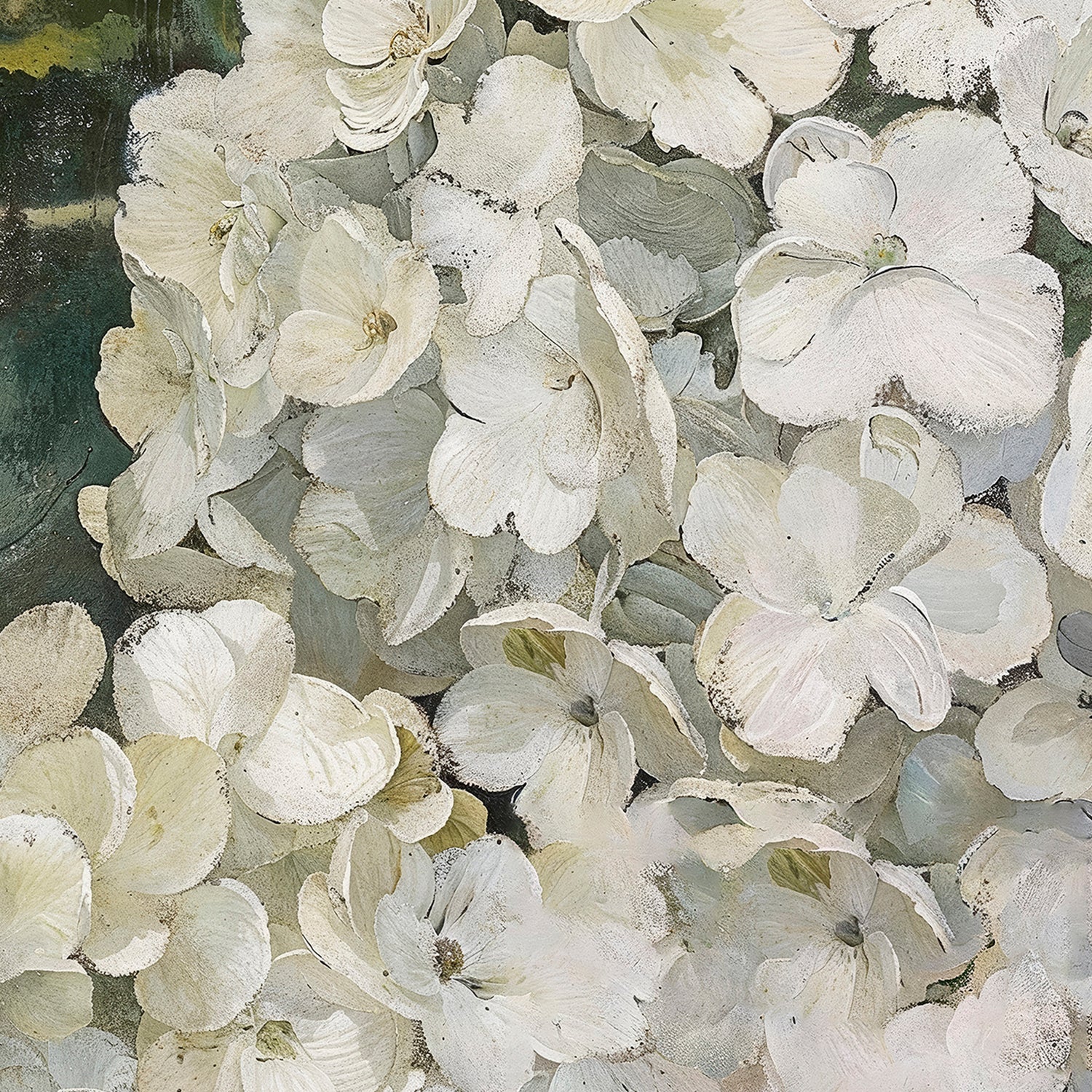 Hydrangeas - Image 9