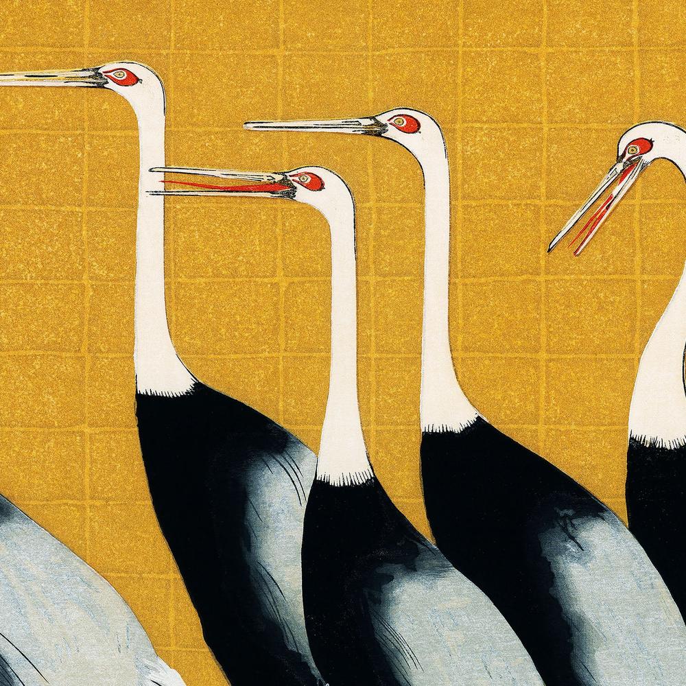 Japanese Red Crown Crane - Image 10