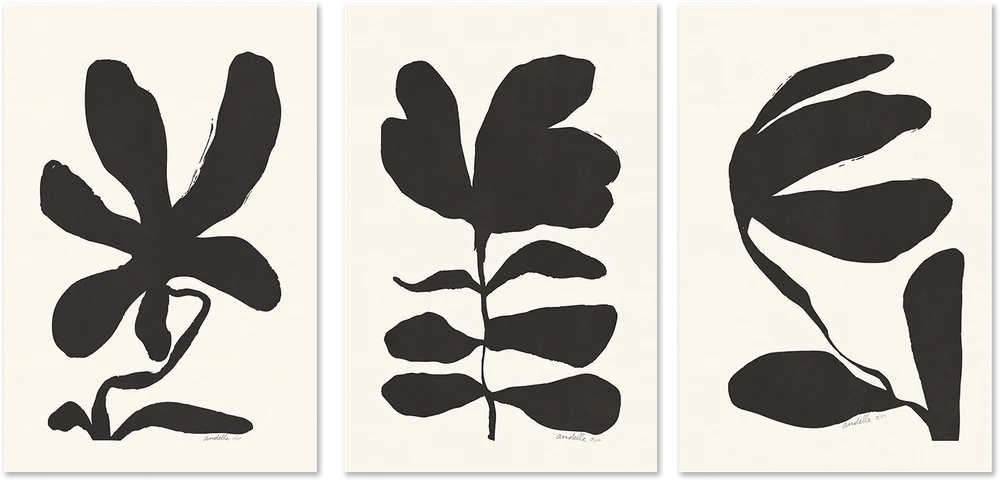 Jasmine, Crossandra And Lily, Set Of 3