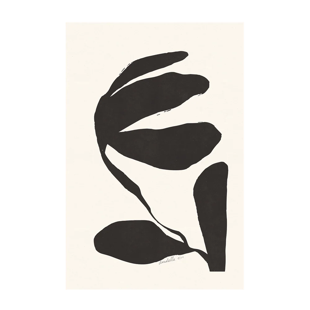 Jasmine, Crossandra And Lily, Set Of 3 - Image 10