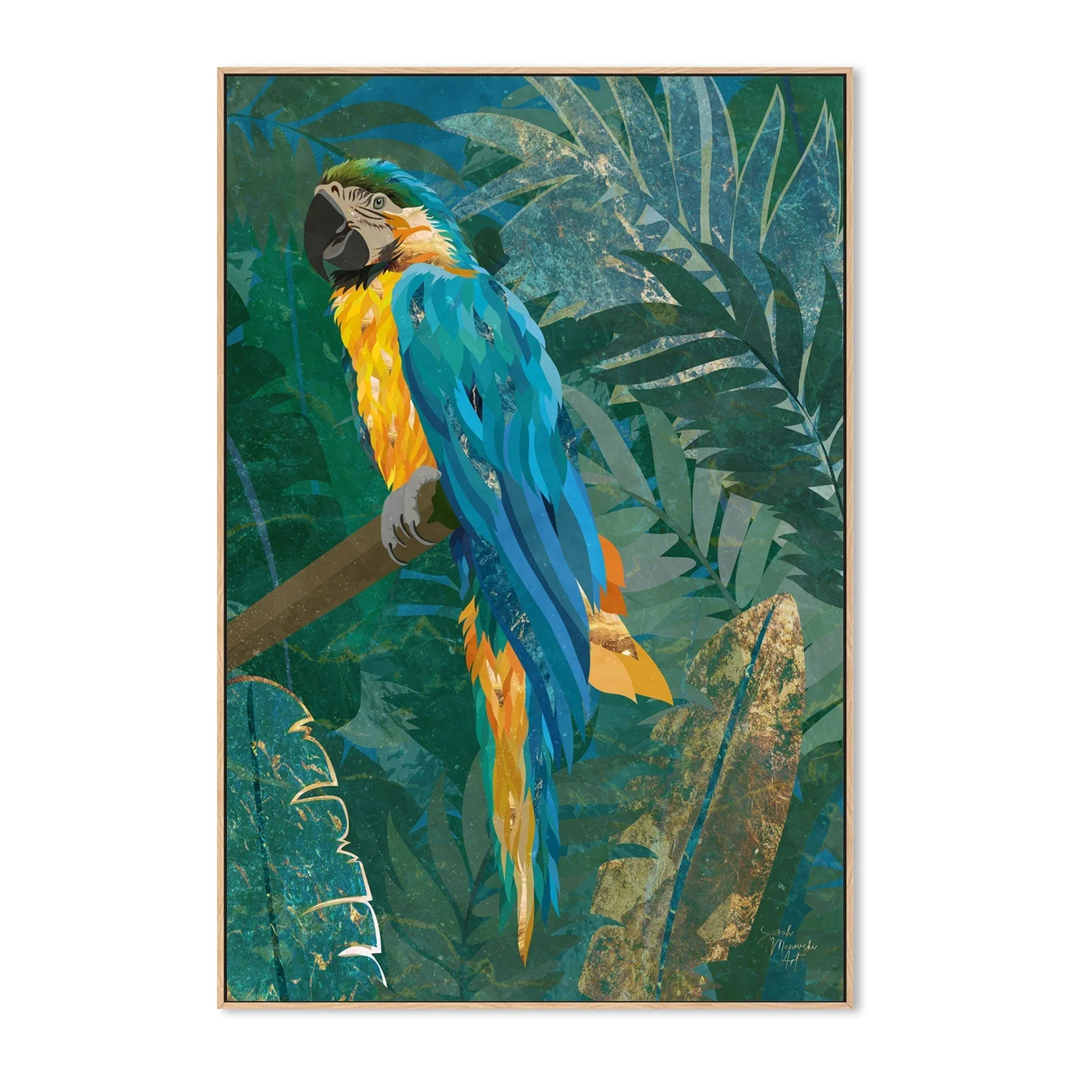 Jungle Macaw - Image 4