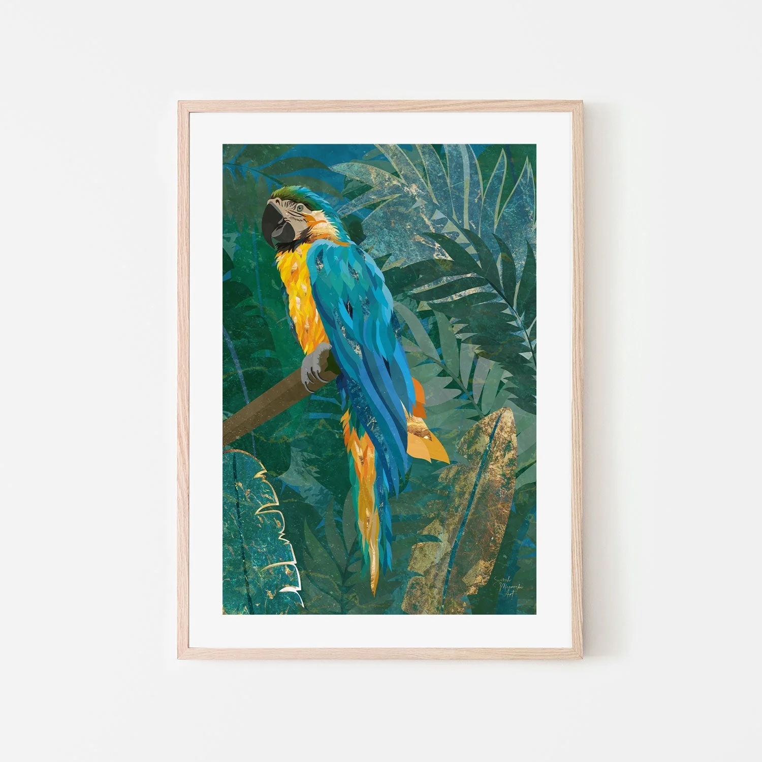 Jungle Macaw - Image 6