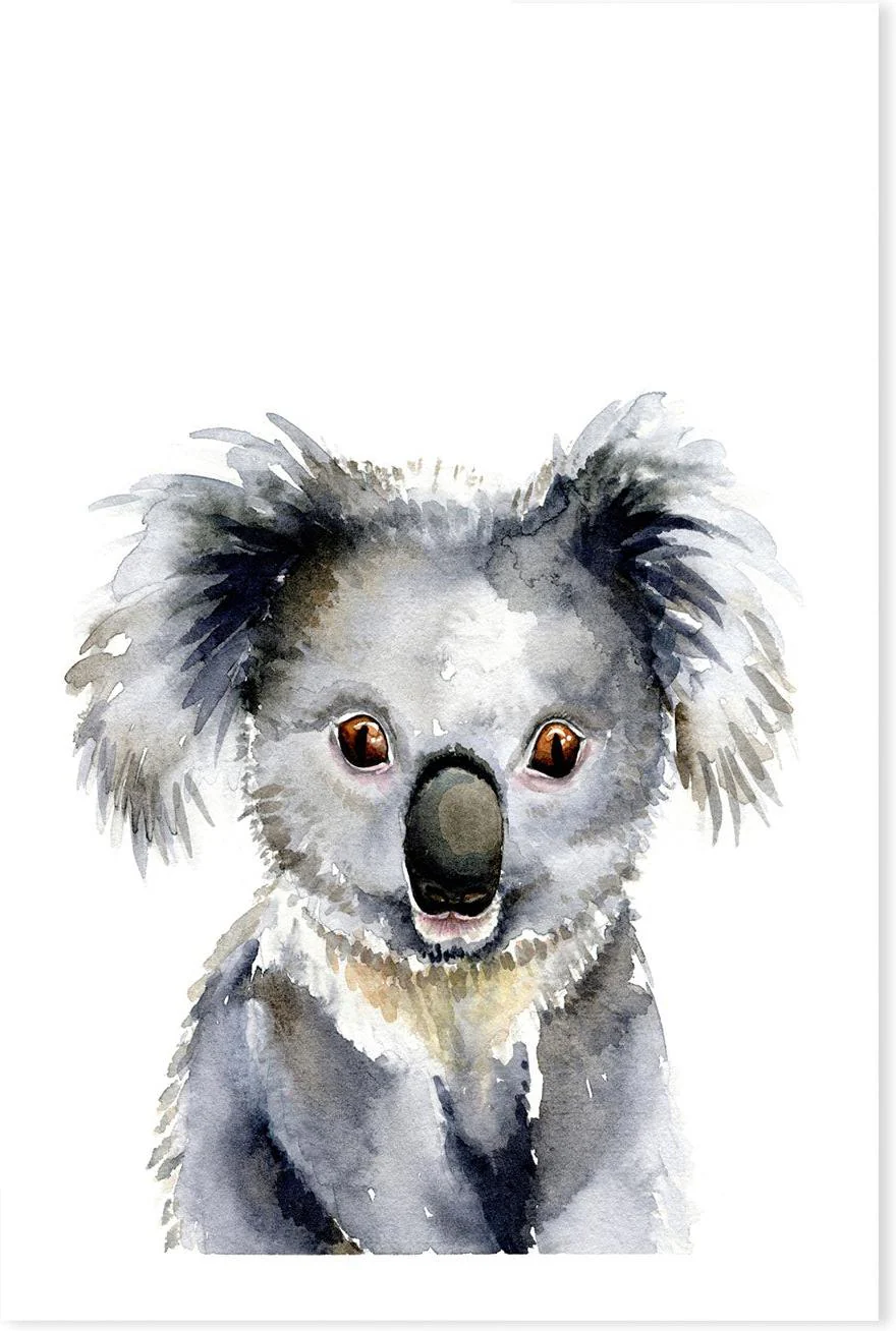 Koala