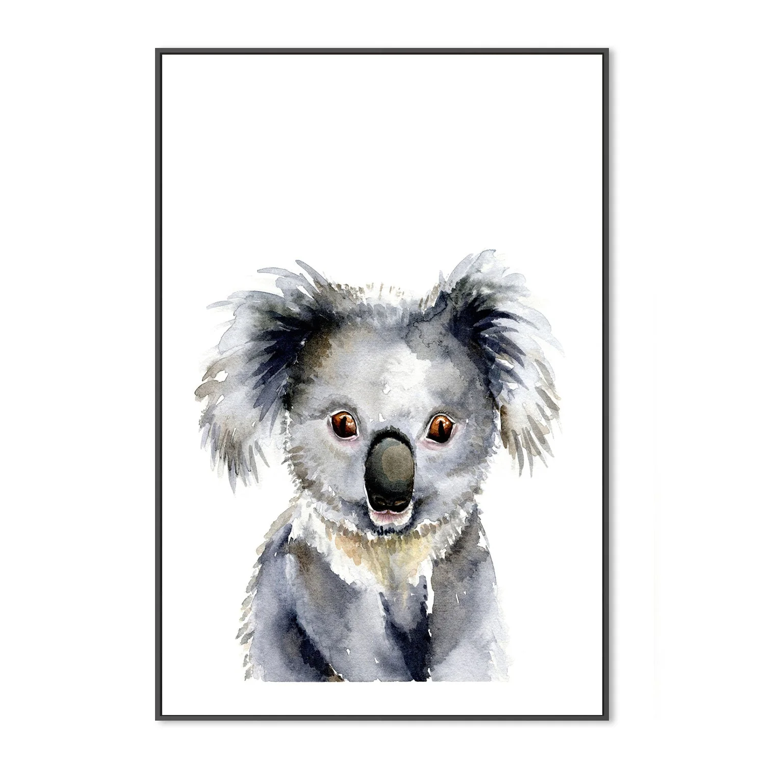Koala - Image 3
