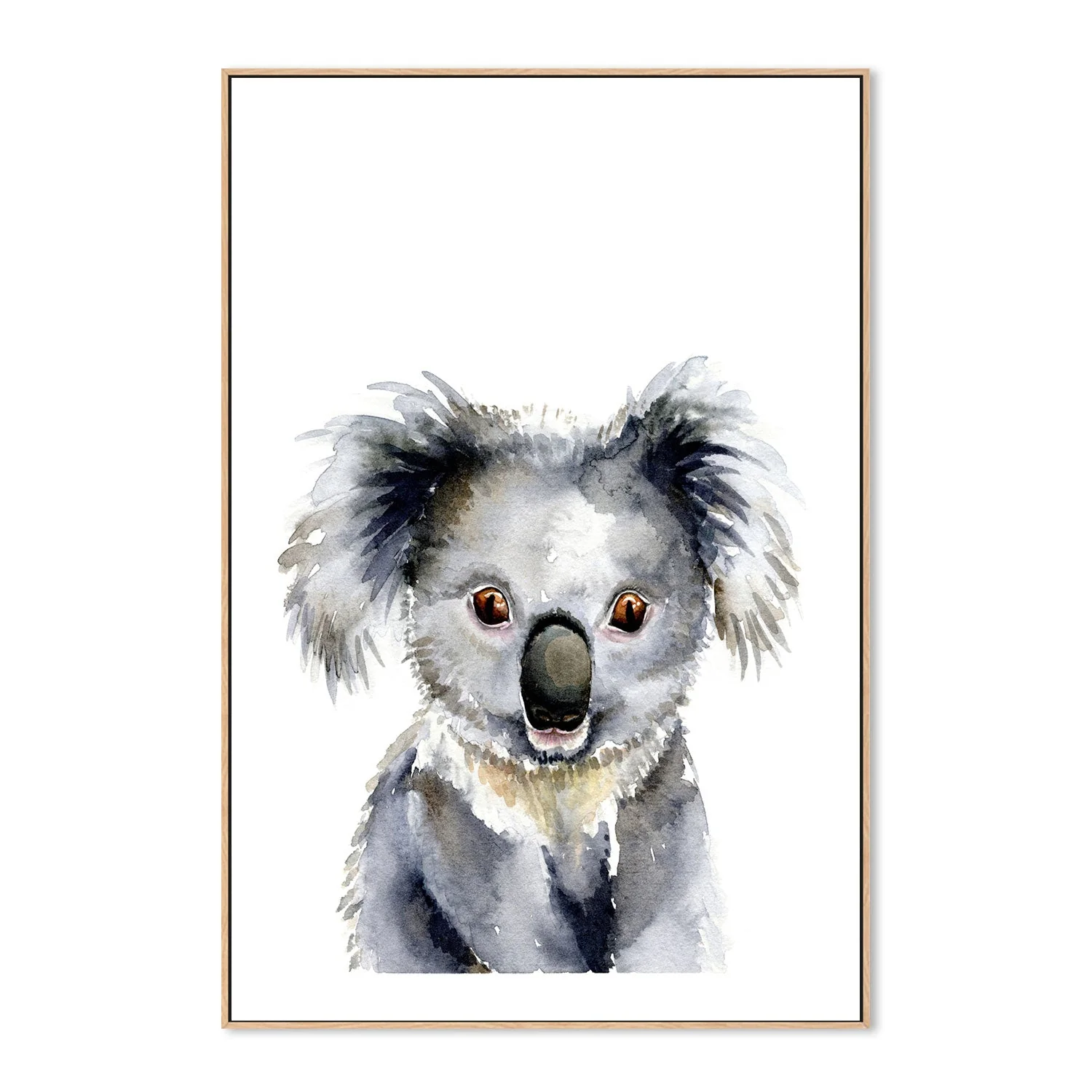 Koala - Image 4