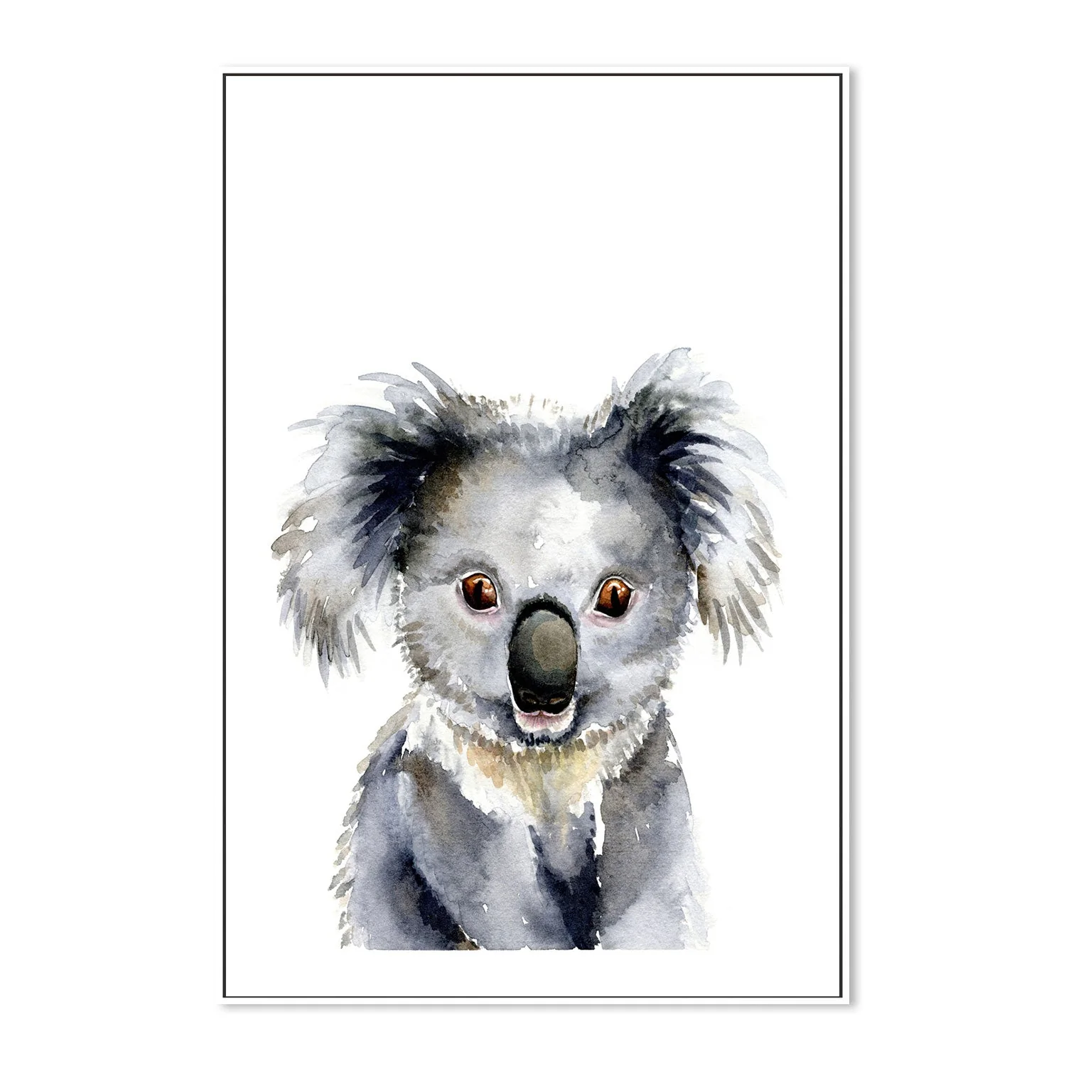 Koala - Image 5