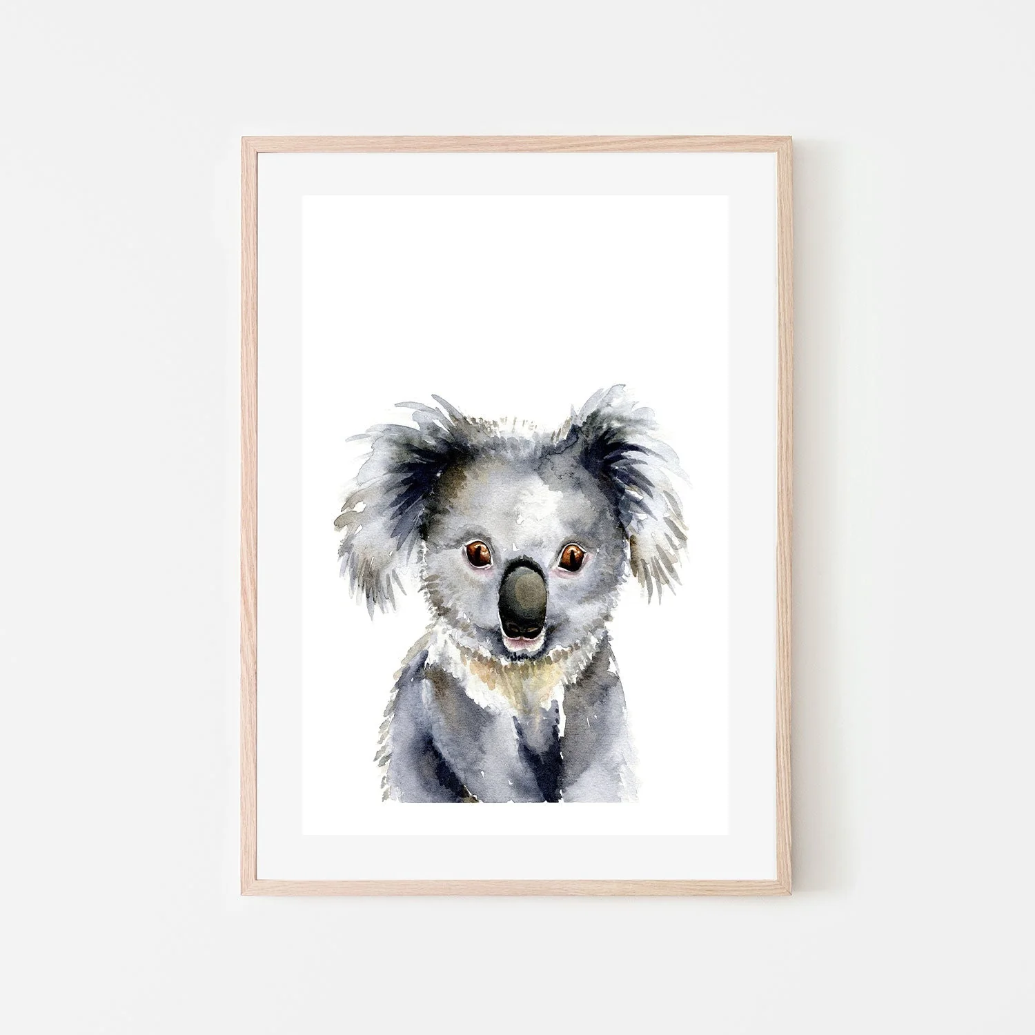 Koala - Image 6