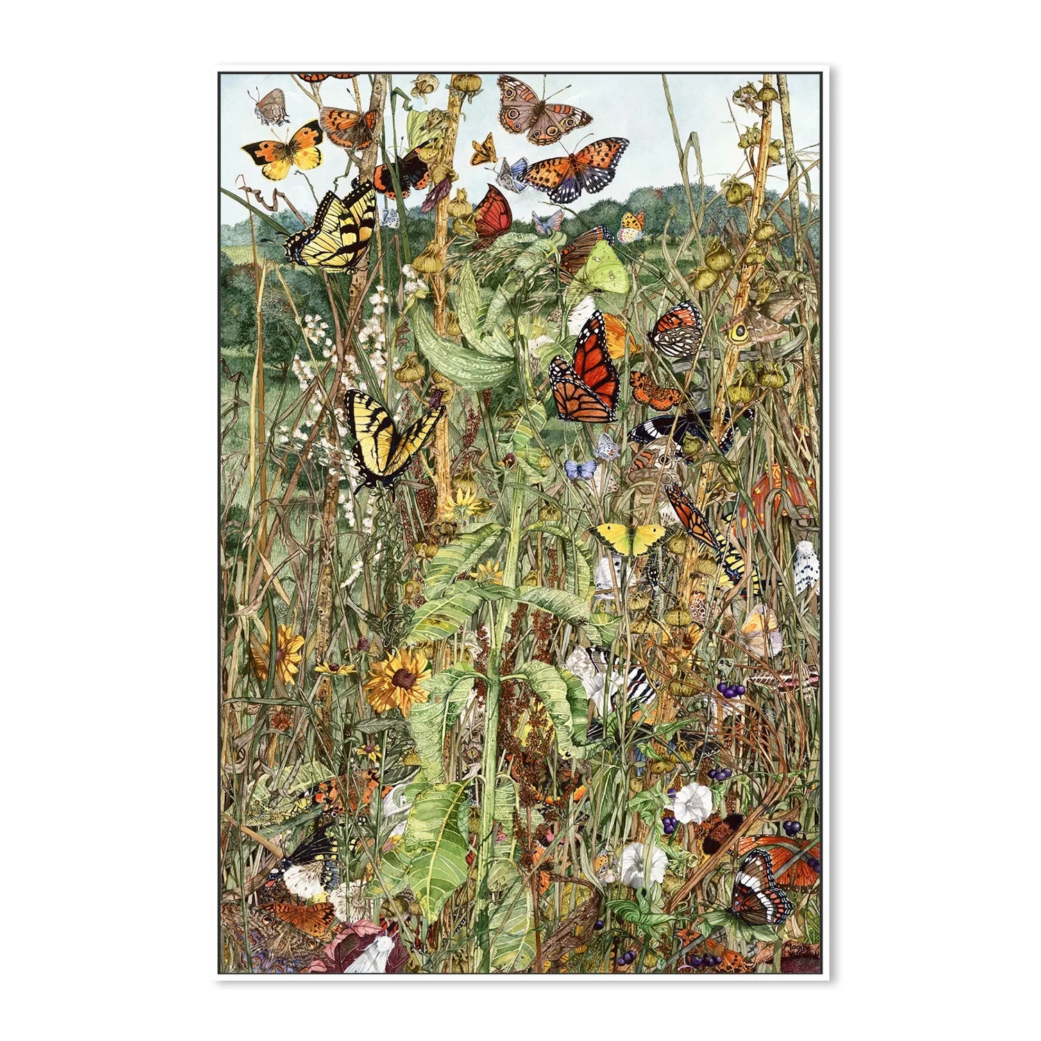 Late Summer - Image 5