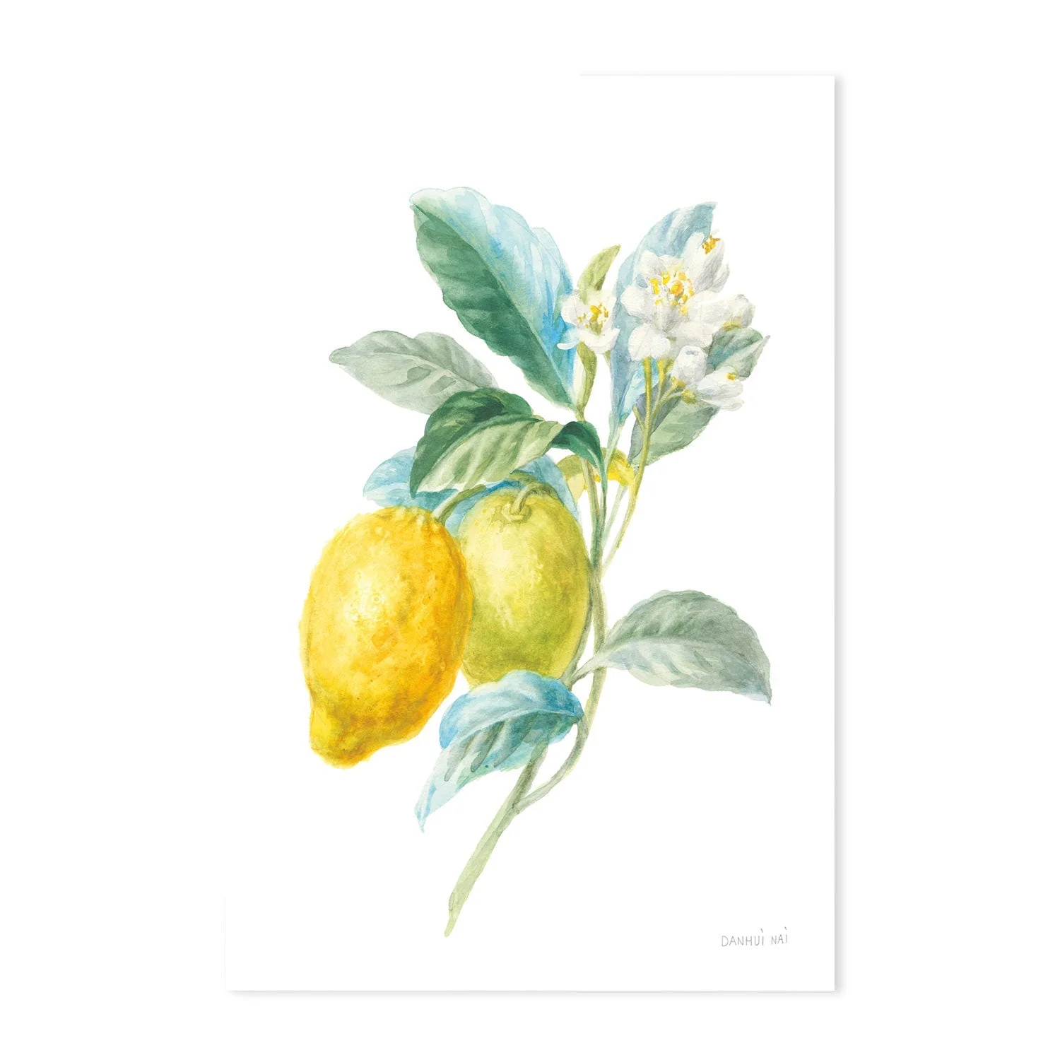 Lemon Branch, Style A & B, Set Of 2 - Image 8