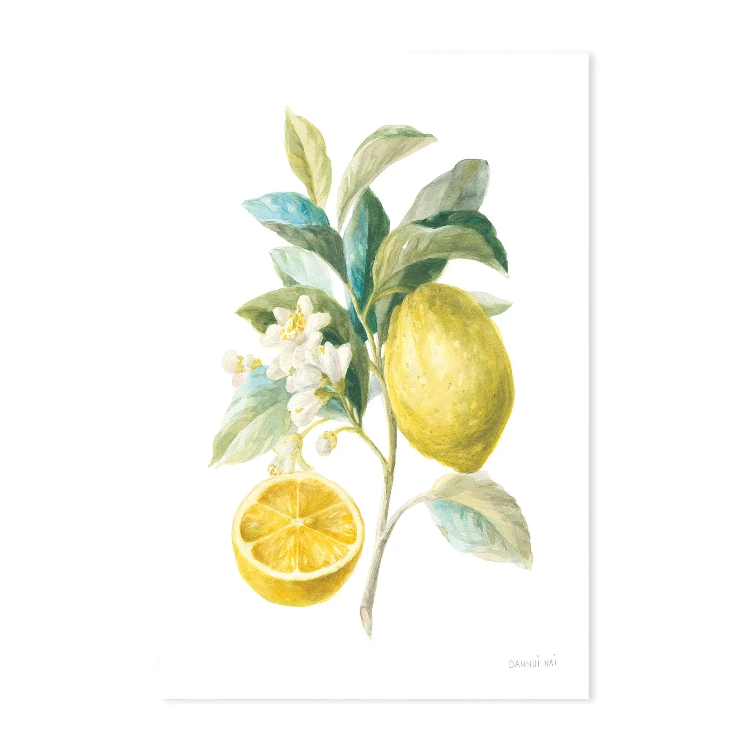 Lemon Branch, Style A & B, Set Of 2 - Image 9