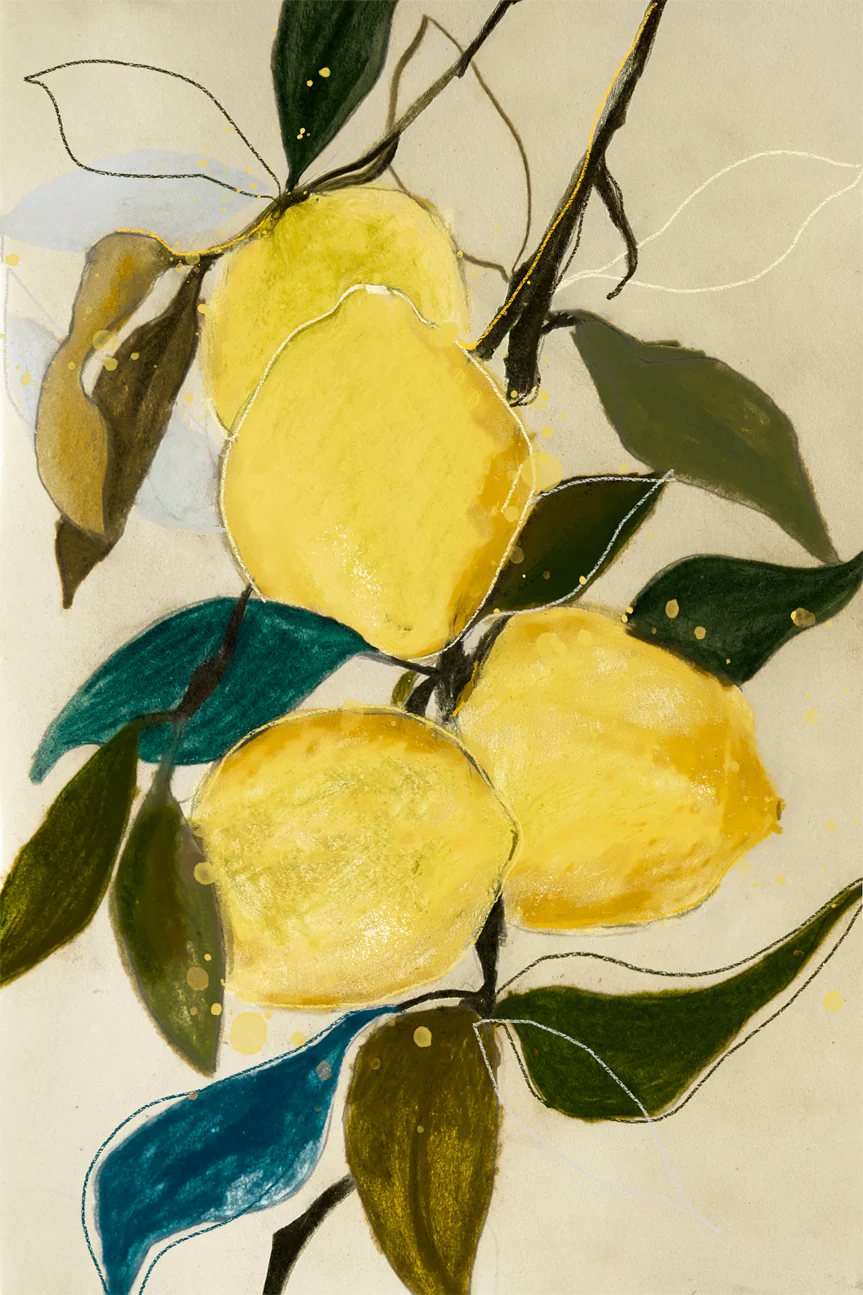 Lemon Study, Style A
