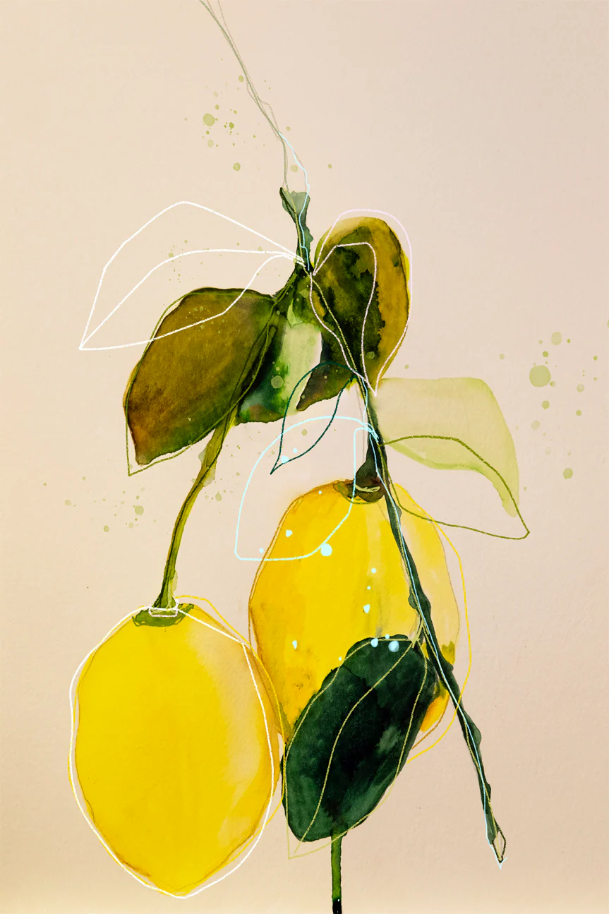 Lemon Study, Style B