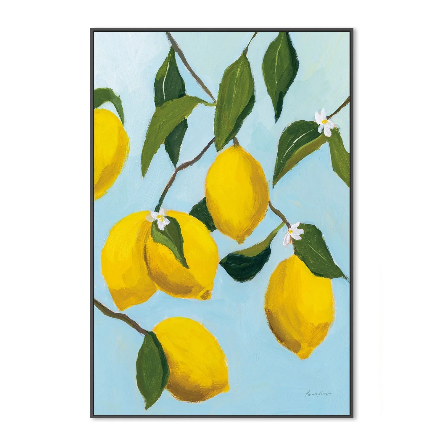 Lemon Tree - Image 3