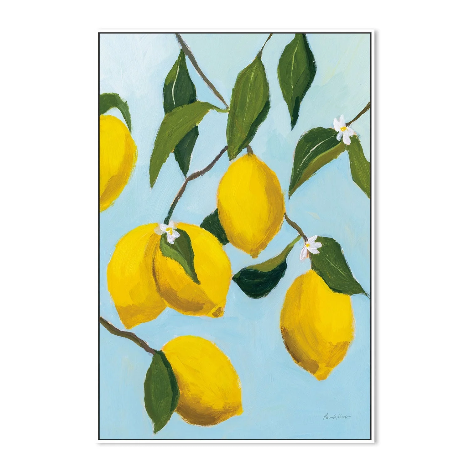 Lemon Tree - Image 4