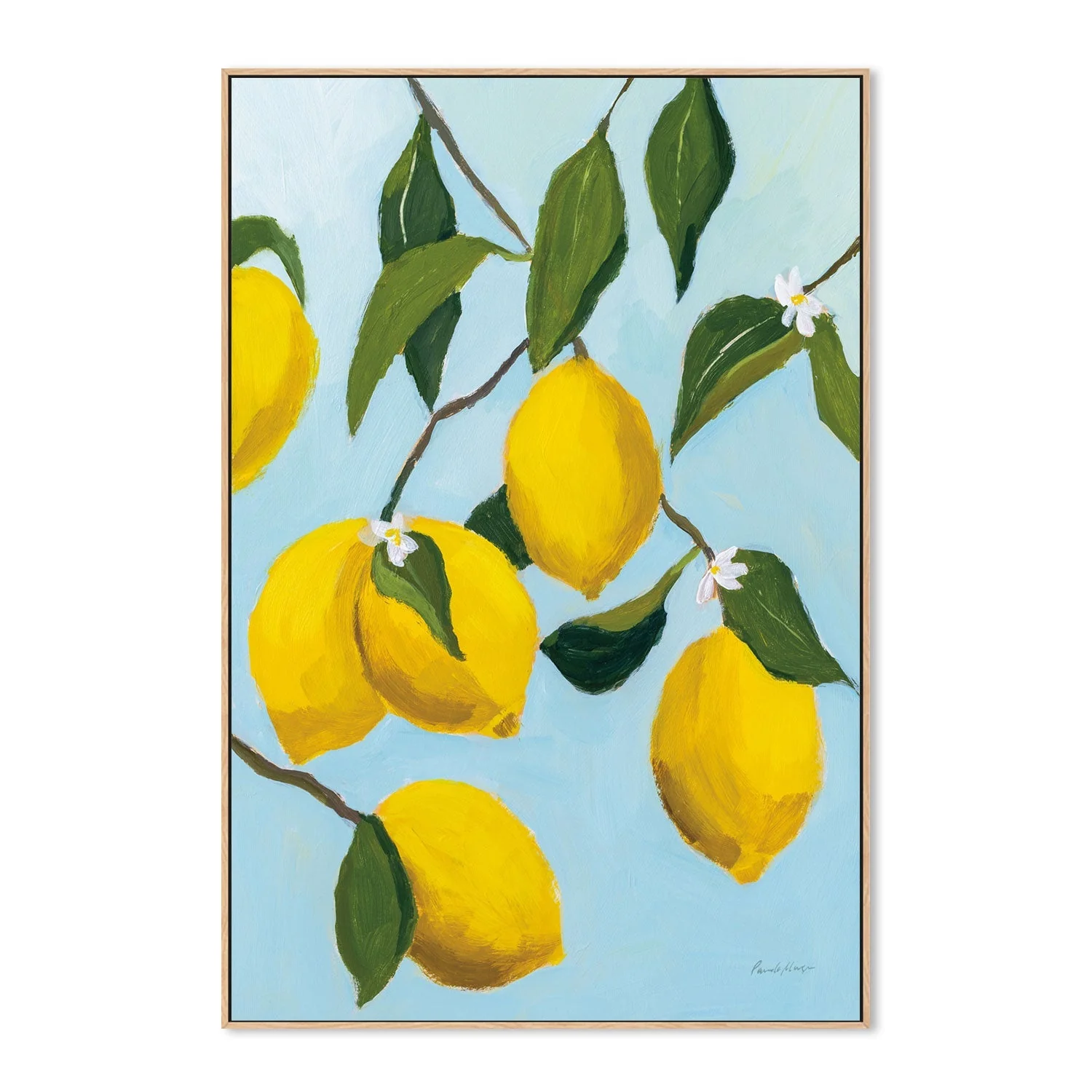 Lemon Tree - Image 5