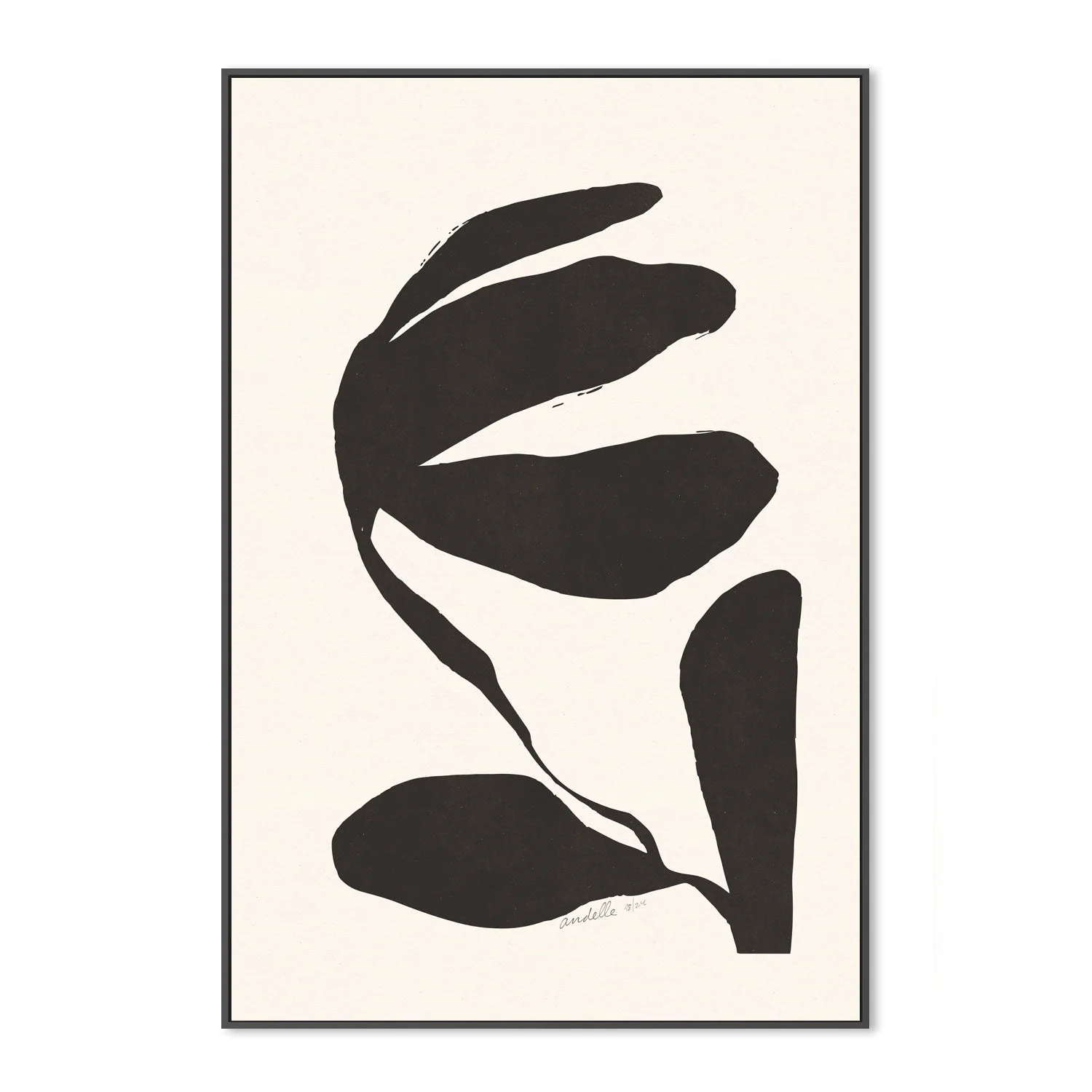 Lily - Image 3